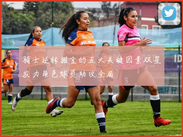 骑士逆转掘金的五大关键因素双星发力角色球员助攻全局