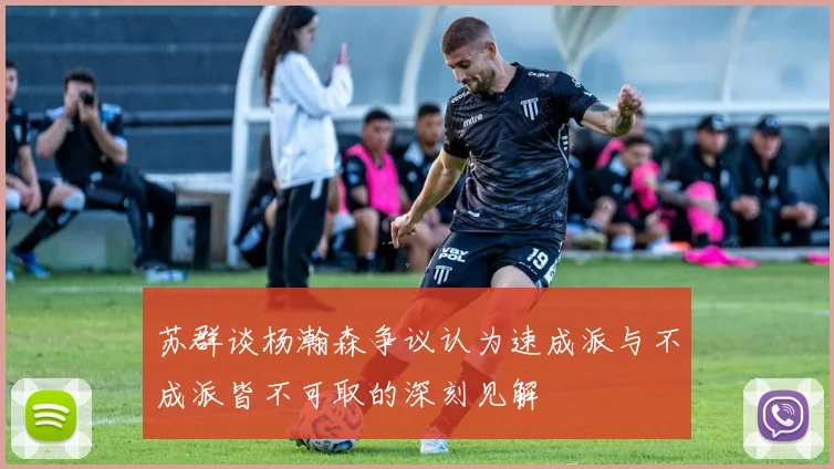苏群谈杨瀚森争议认为速成派与不成派皆不可取的深刻见解