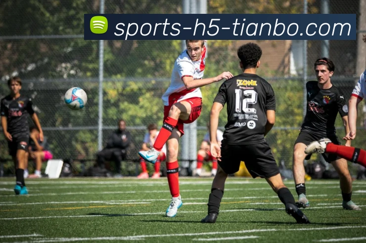 拓记：杨瀚森与夏普联手如申京阿门再添KD争冠希望再度升温